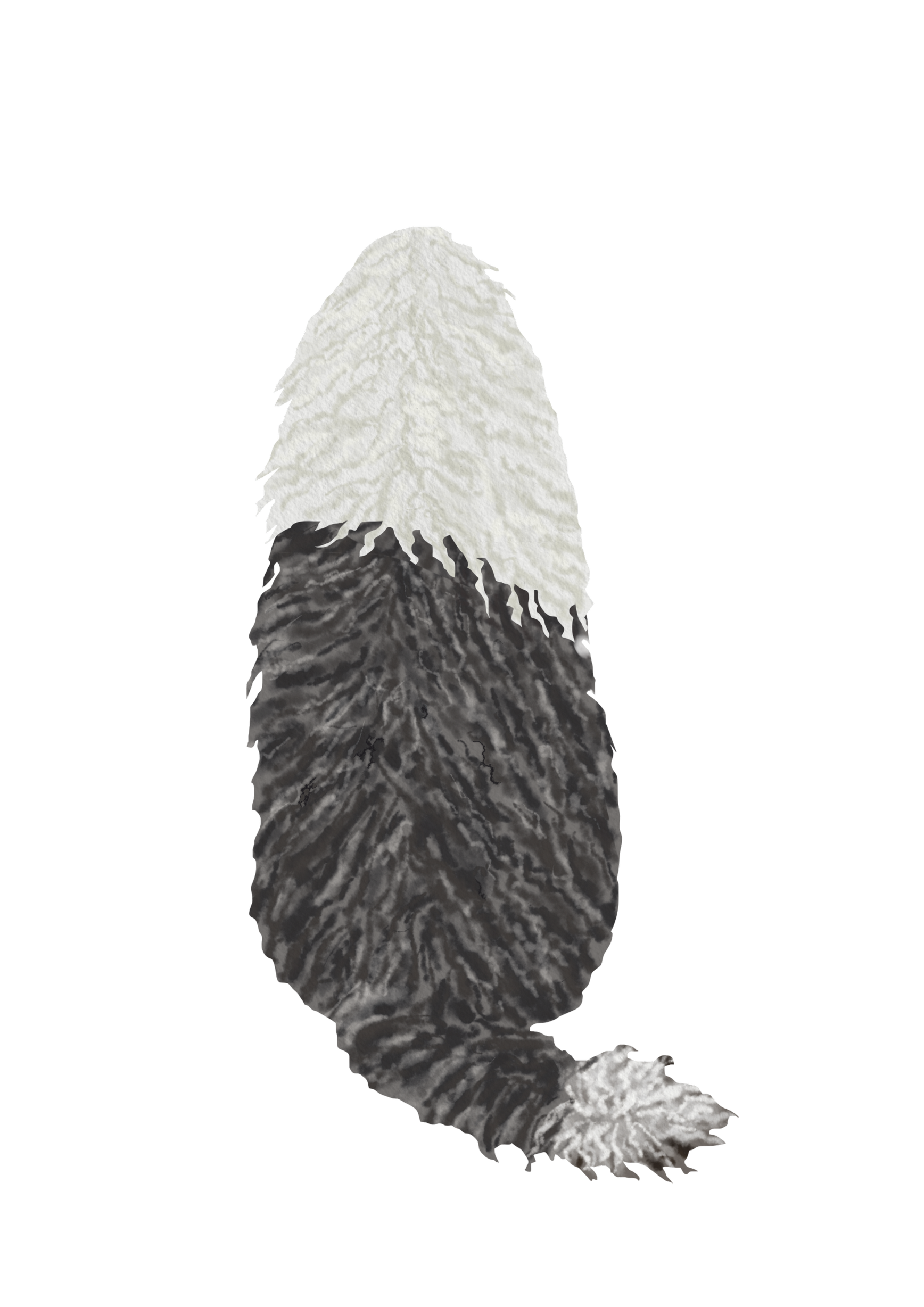 DogsVolI001