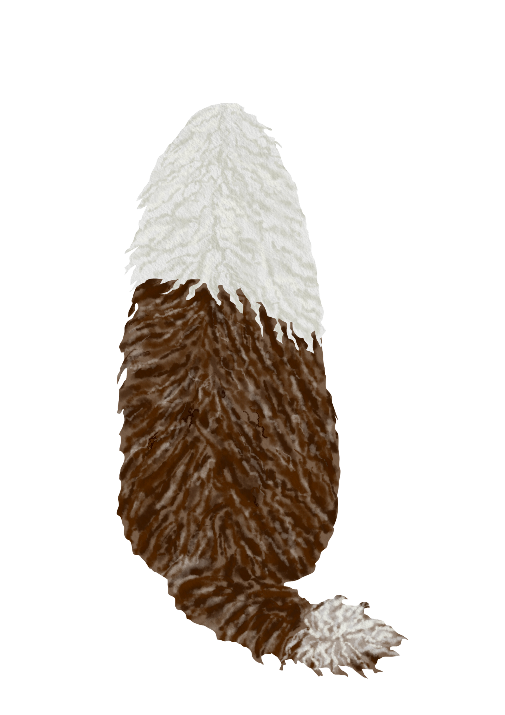 DogsVolI003