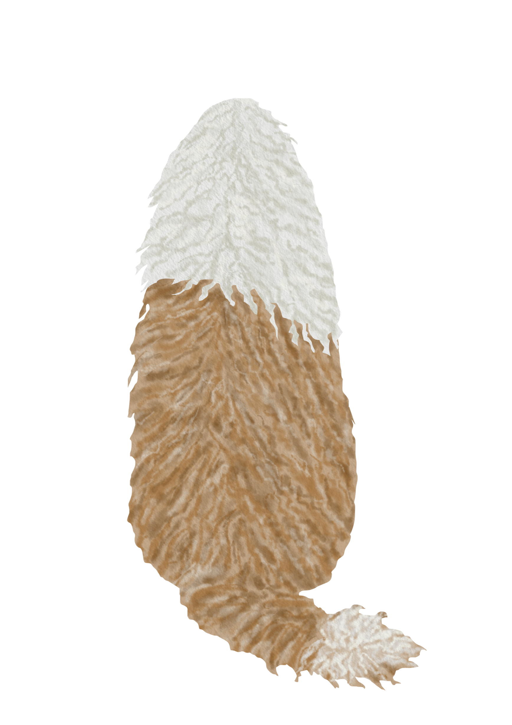 DogsVolI004