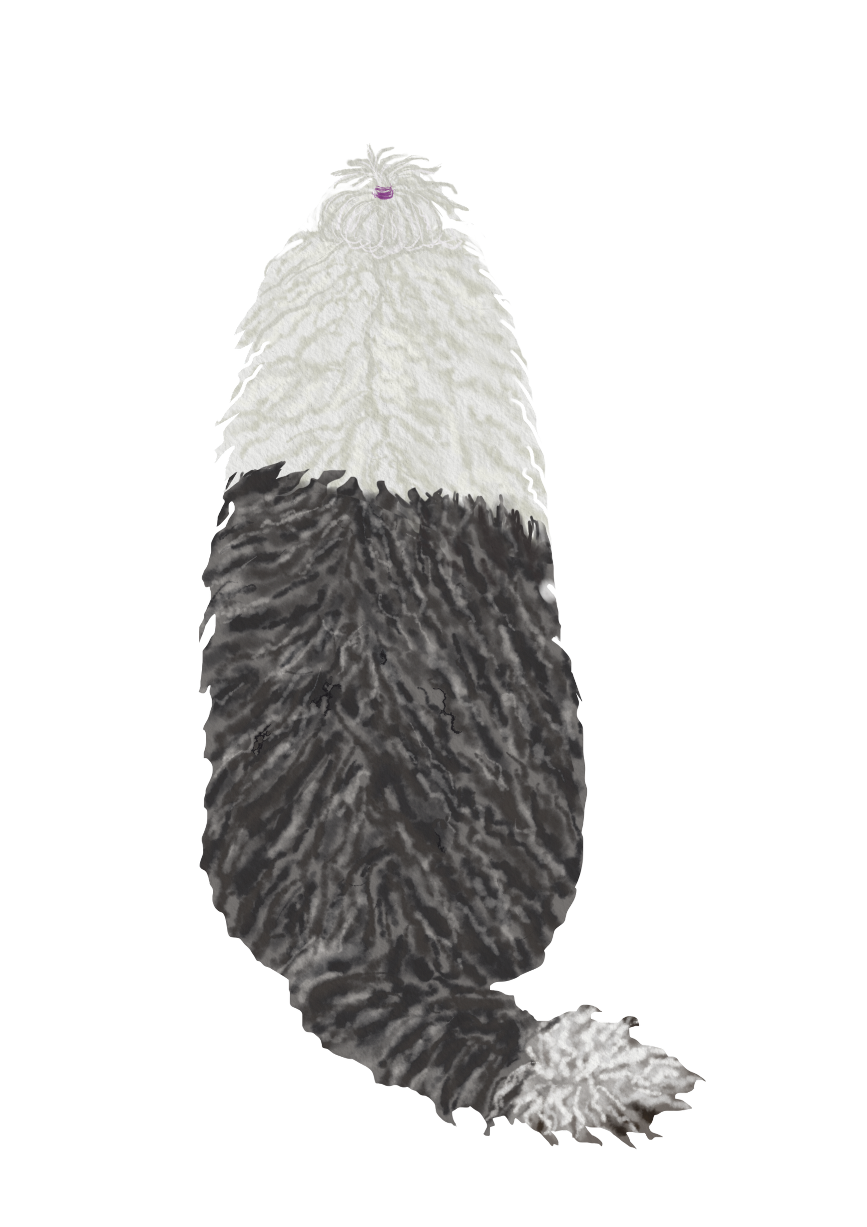 DogsVolI005
