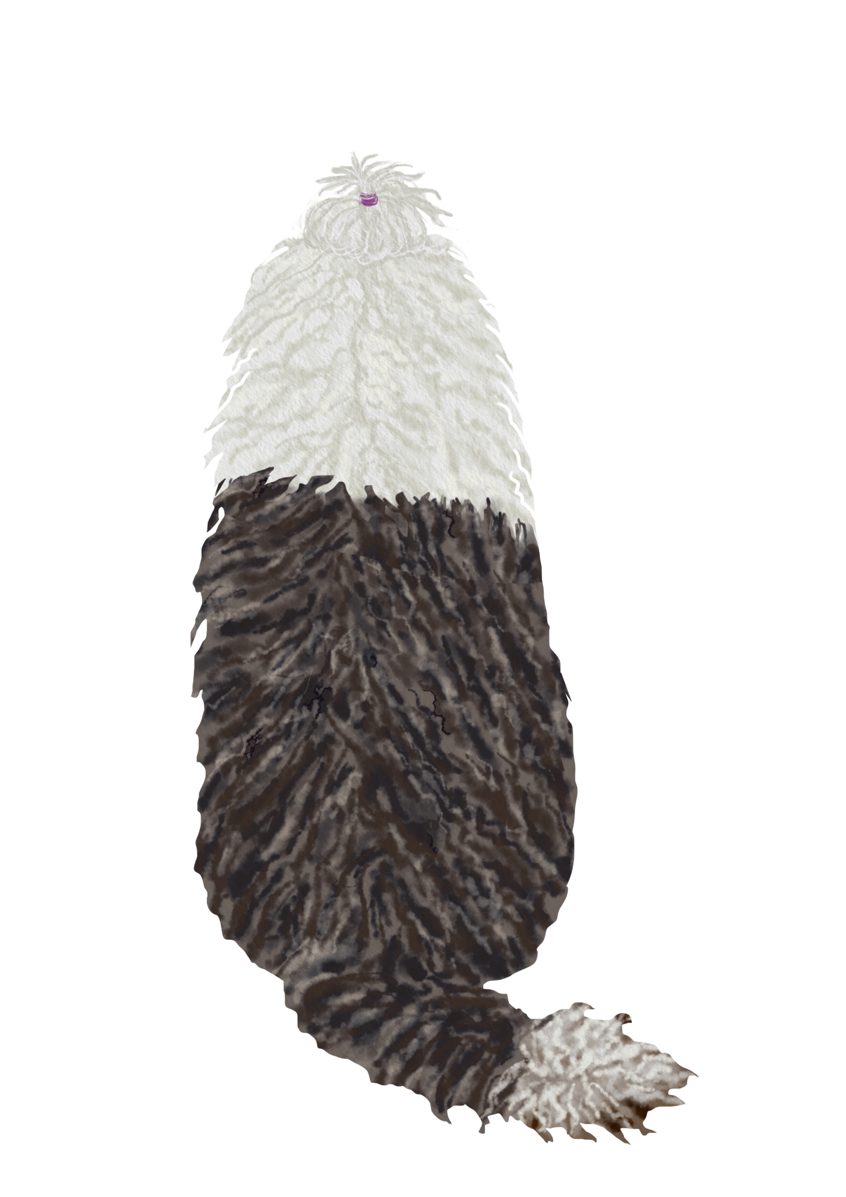 DogsVolI006