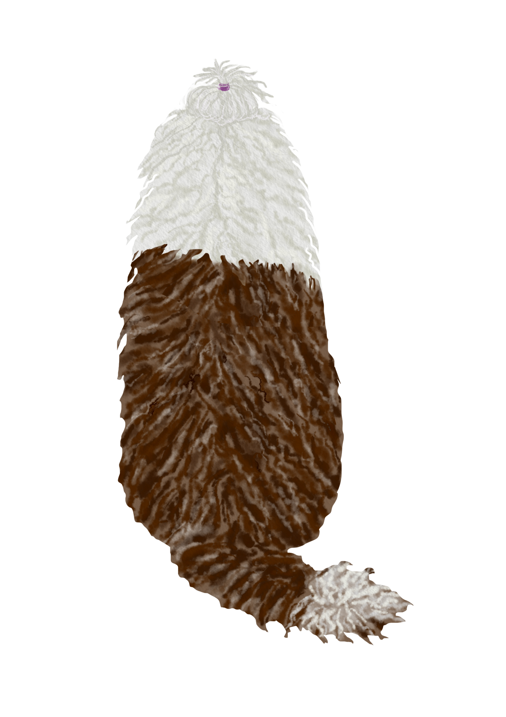 DogsVolI007
