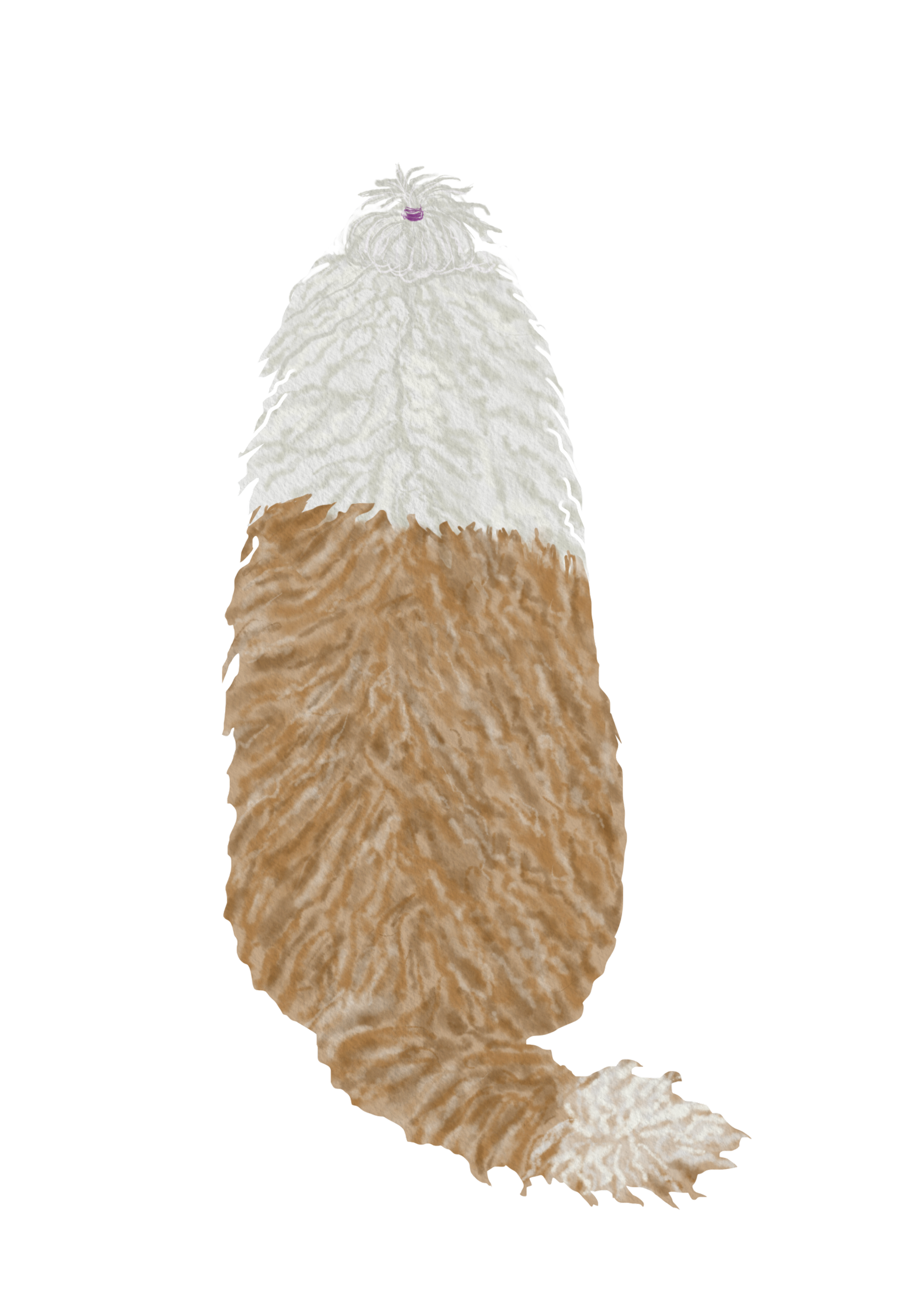 DogsVolI008