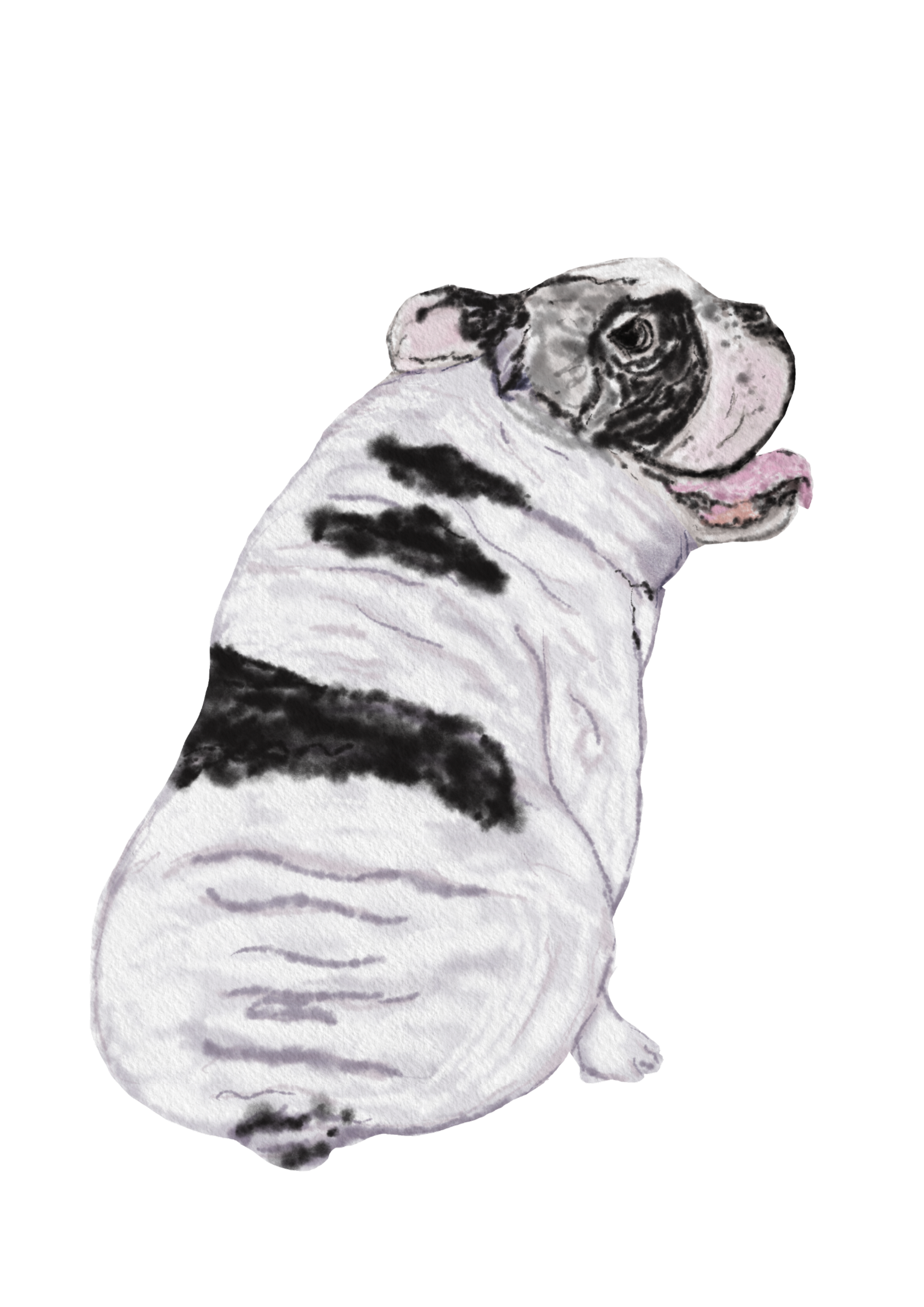 DogsVolI009