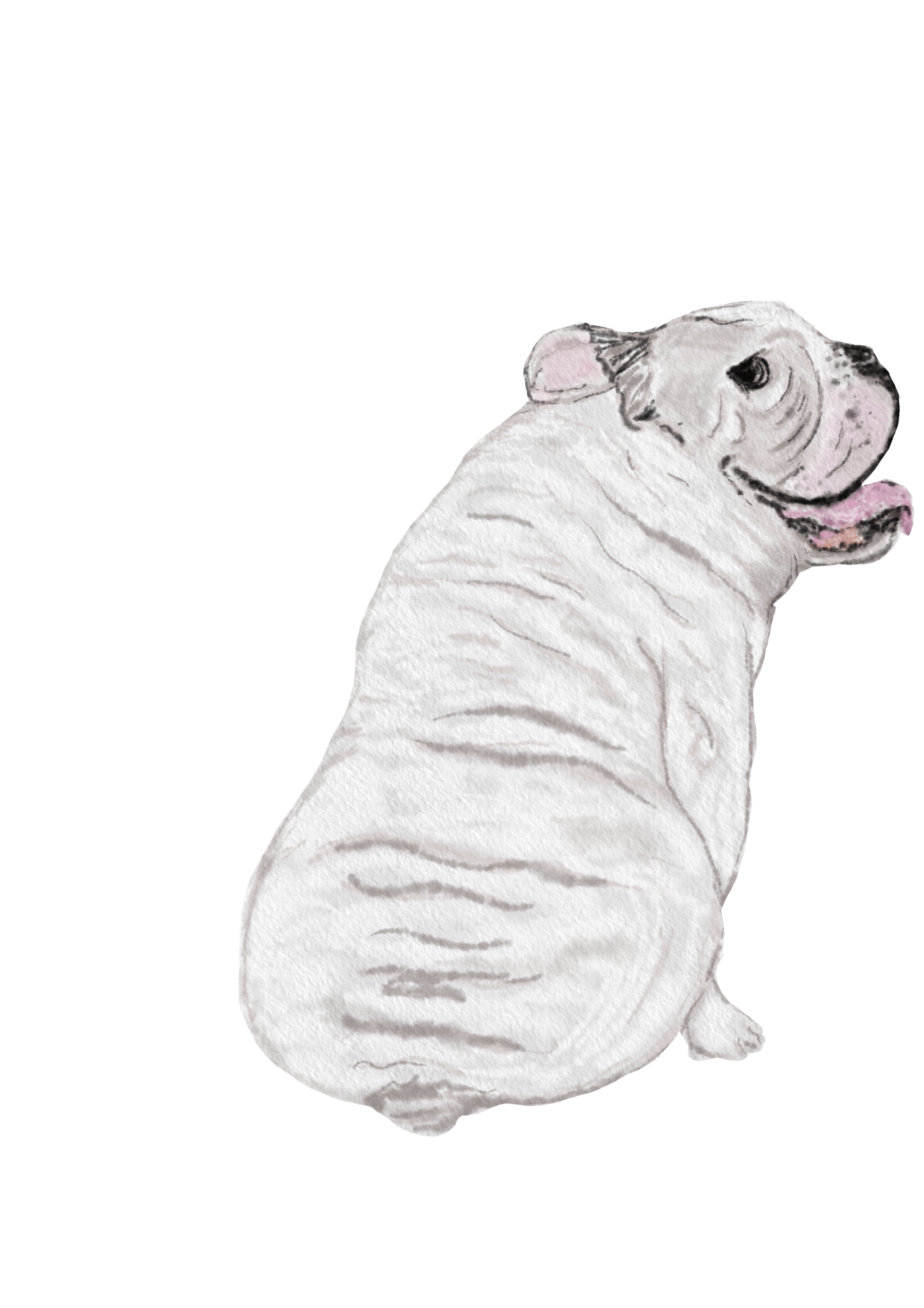 DogsVolI010