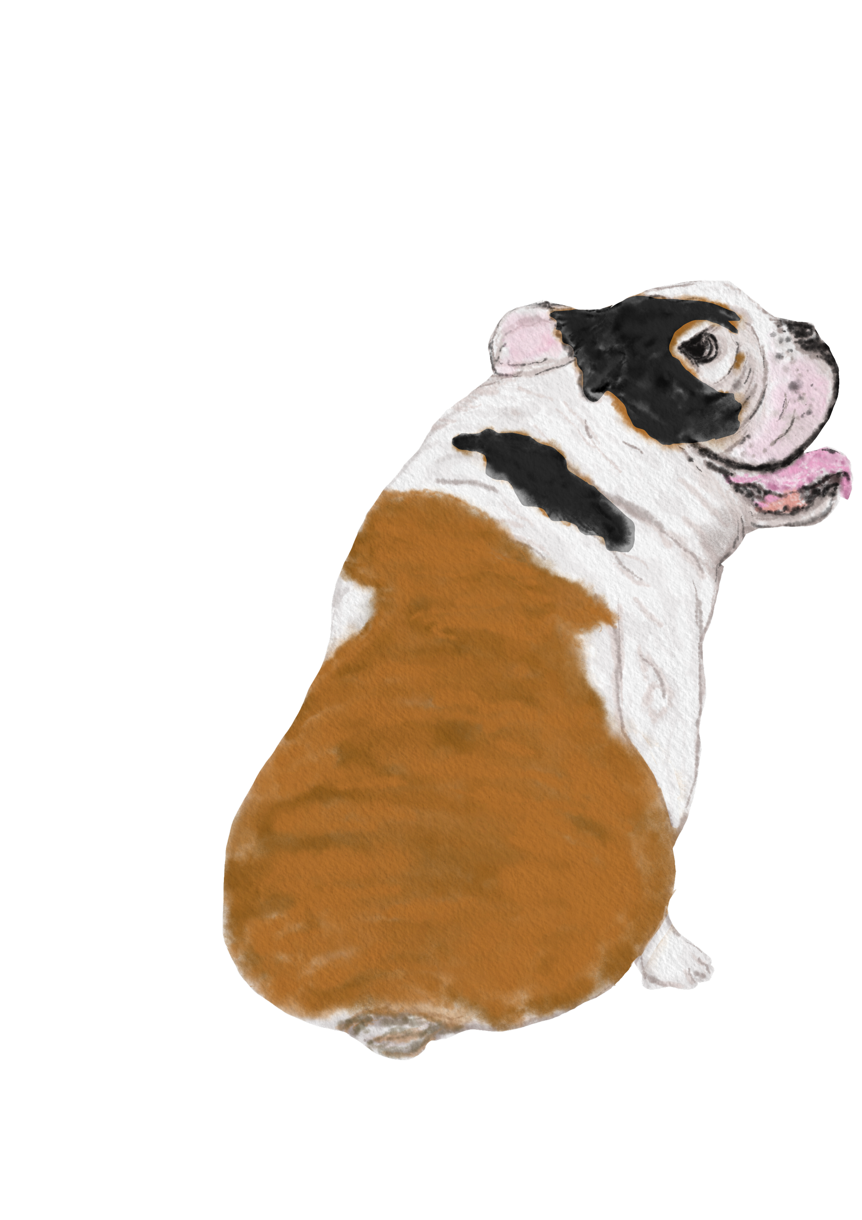 DogsVolI011