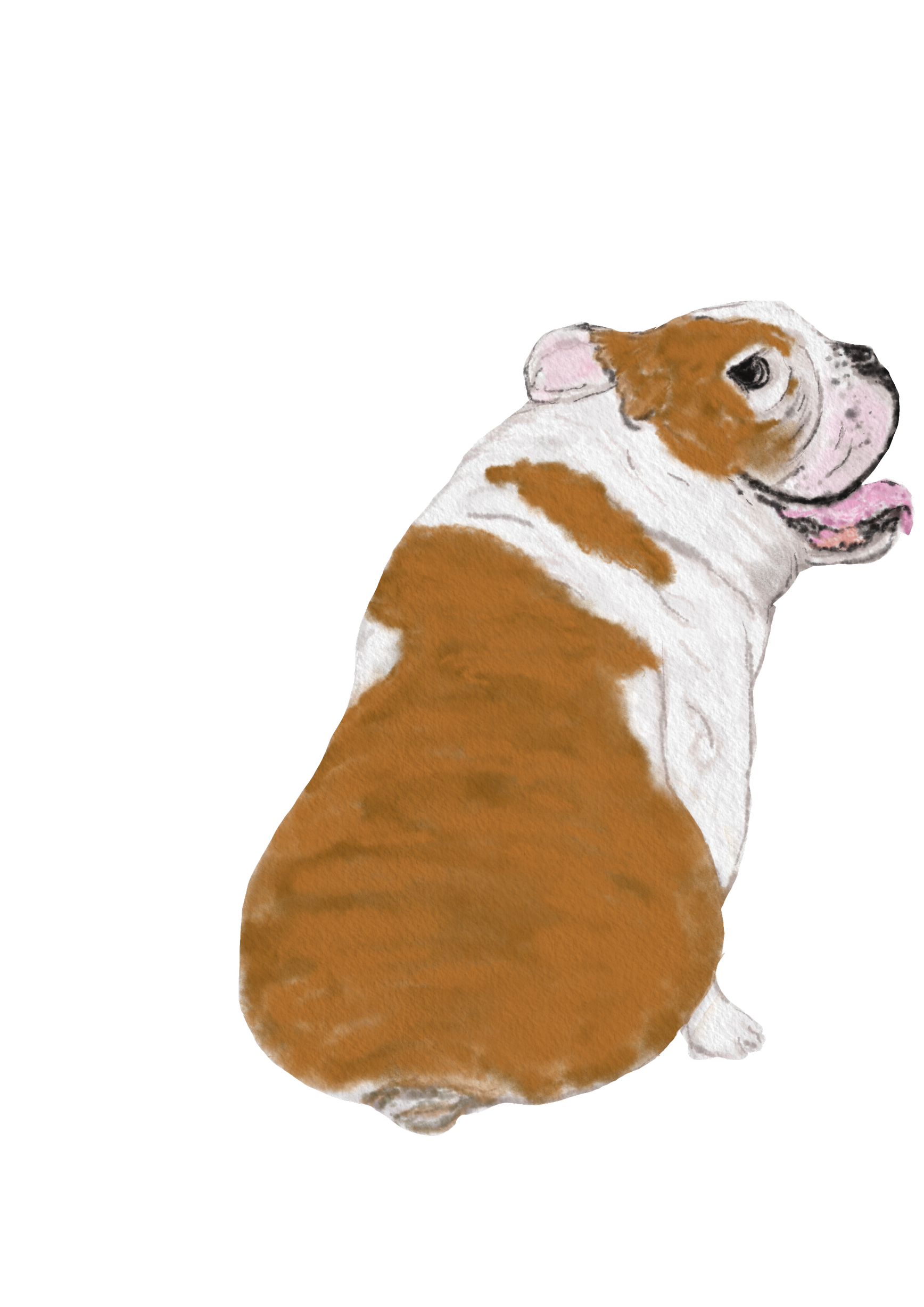 DogsVolI012