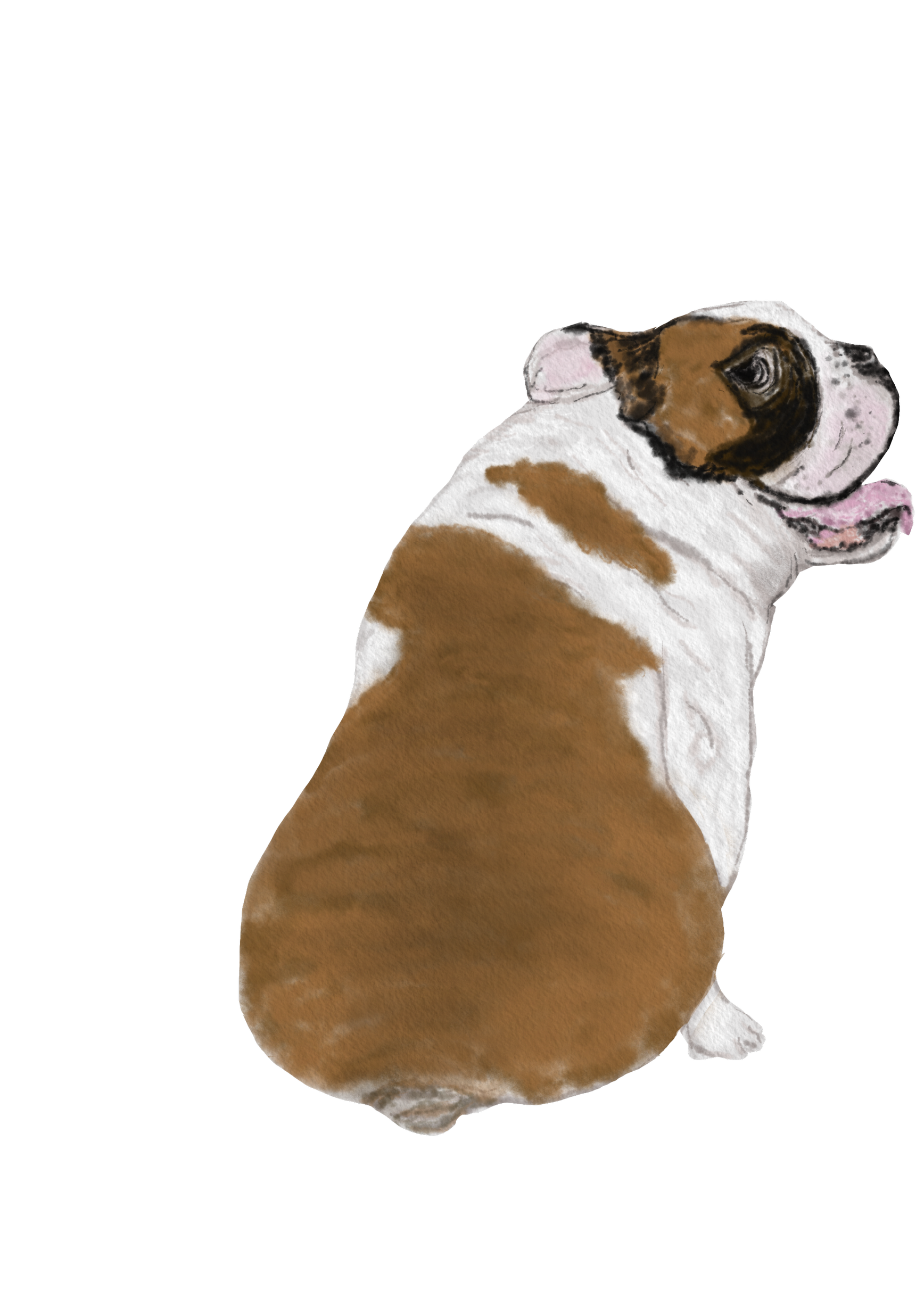 DogsVolI014