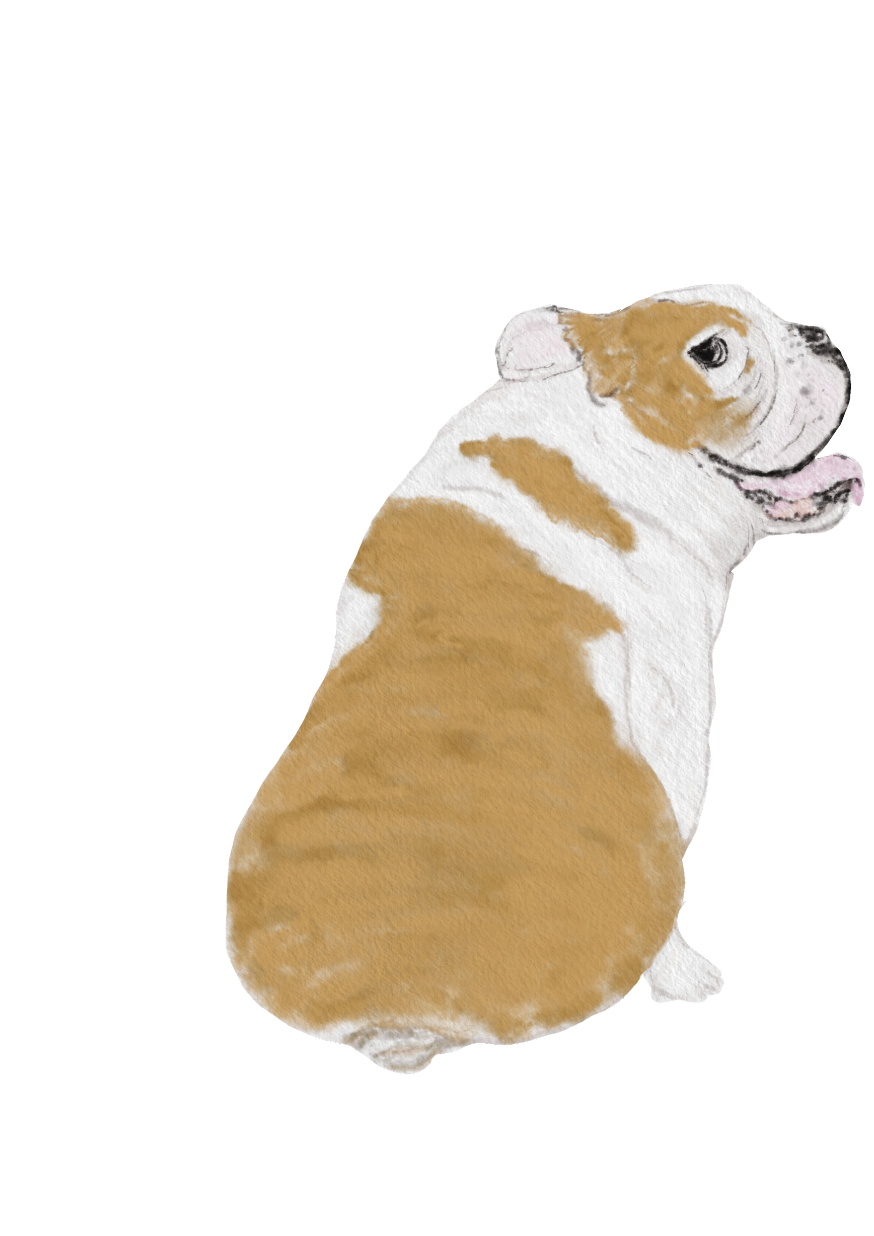 DogsVolI015