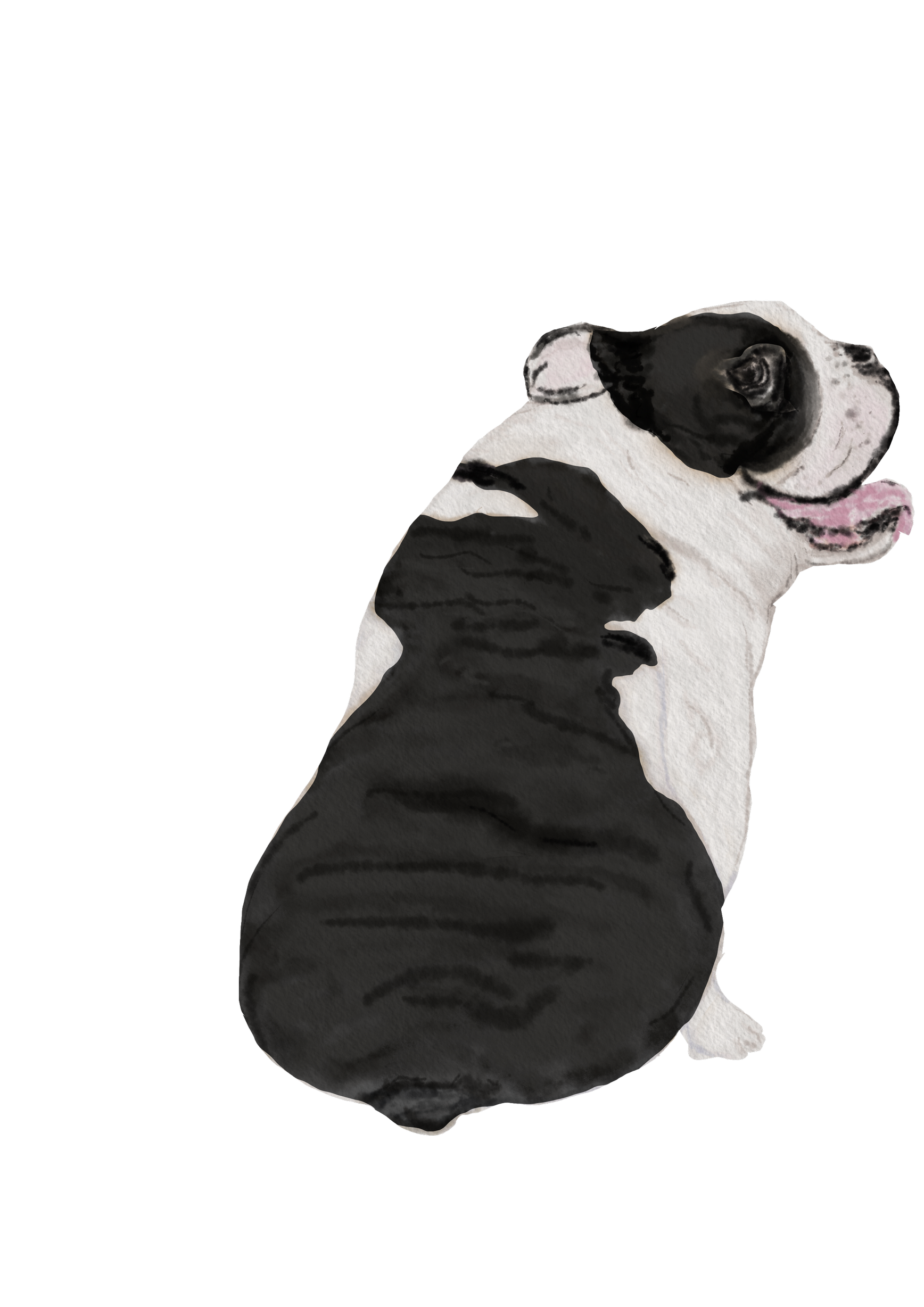 DogsVolI016