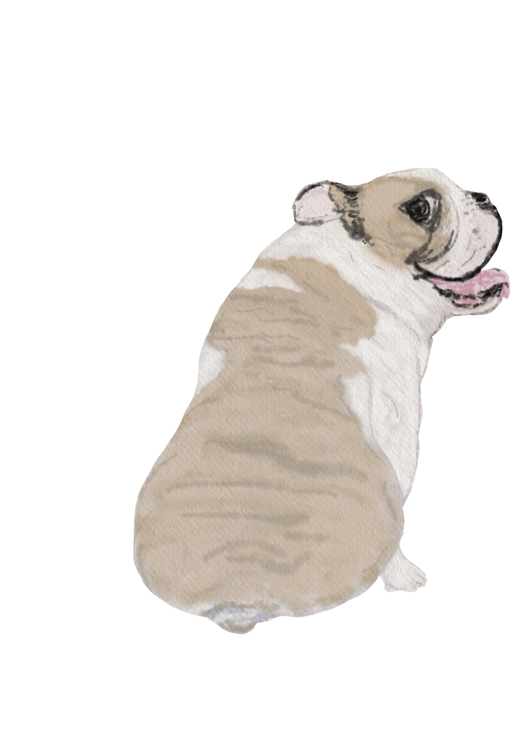 DogsVolI017