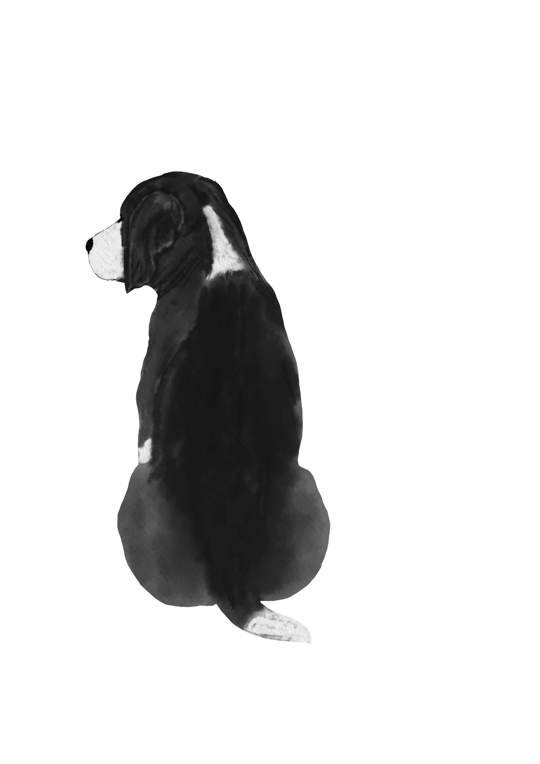 DogsVolI021