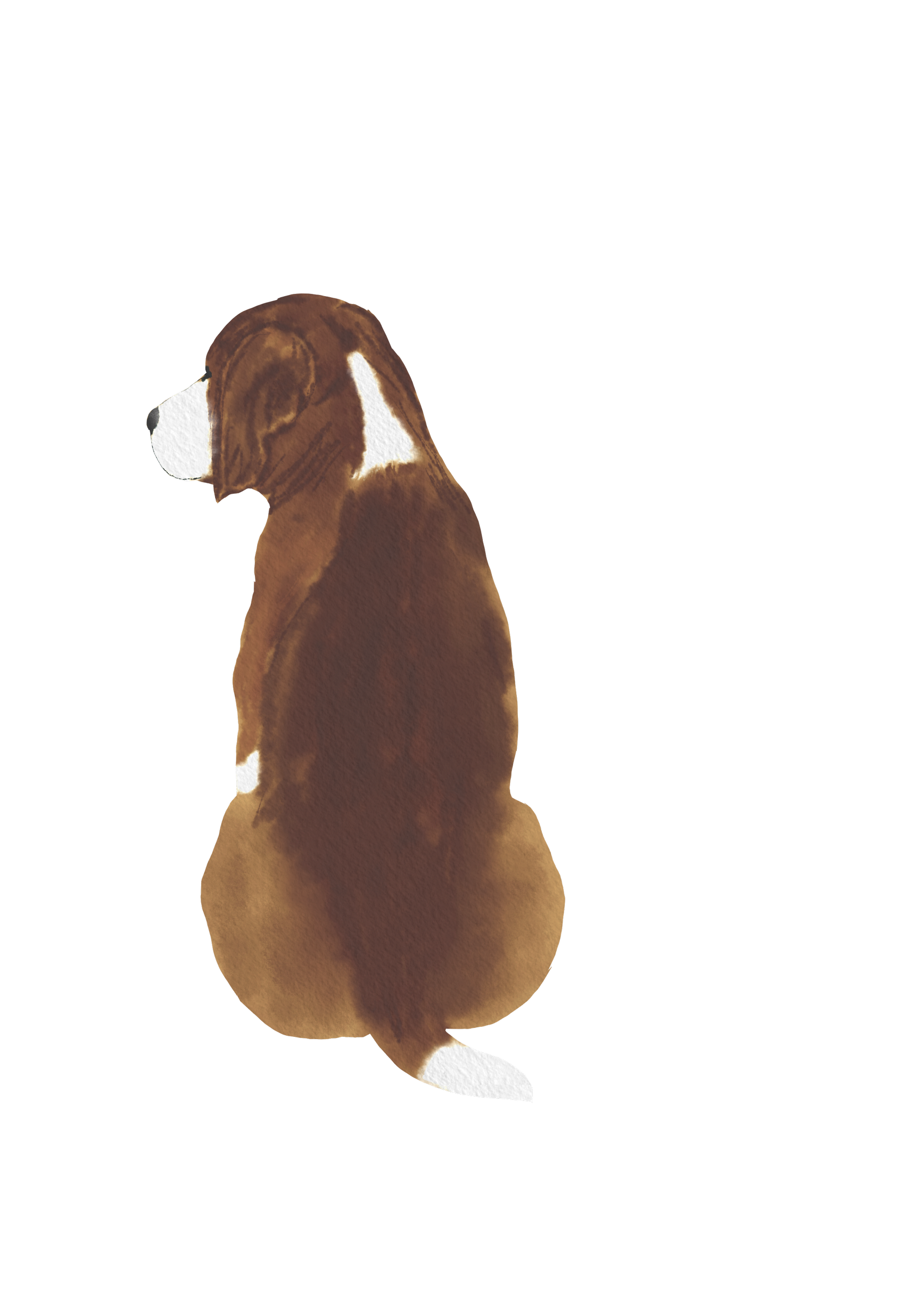 DogsVolI022