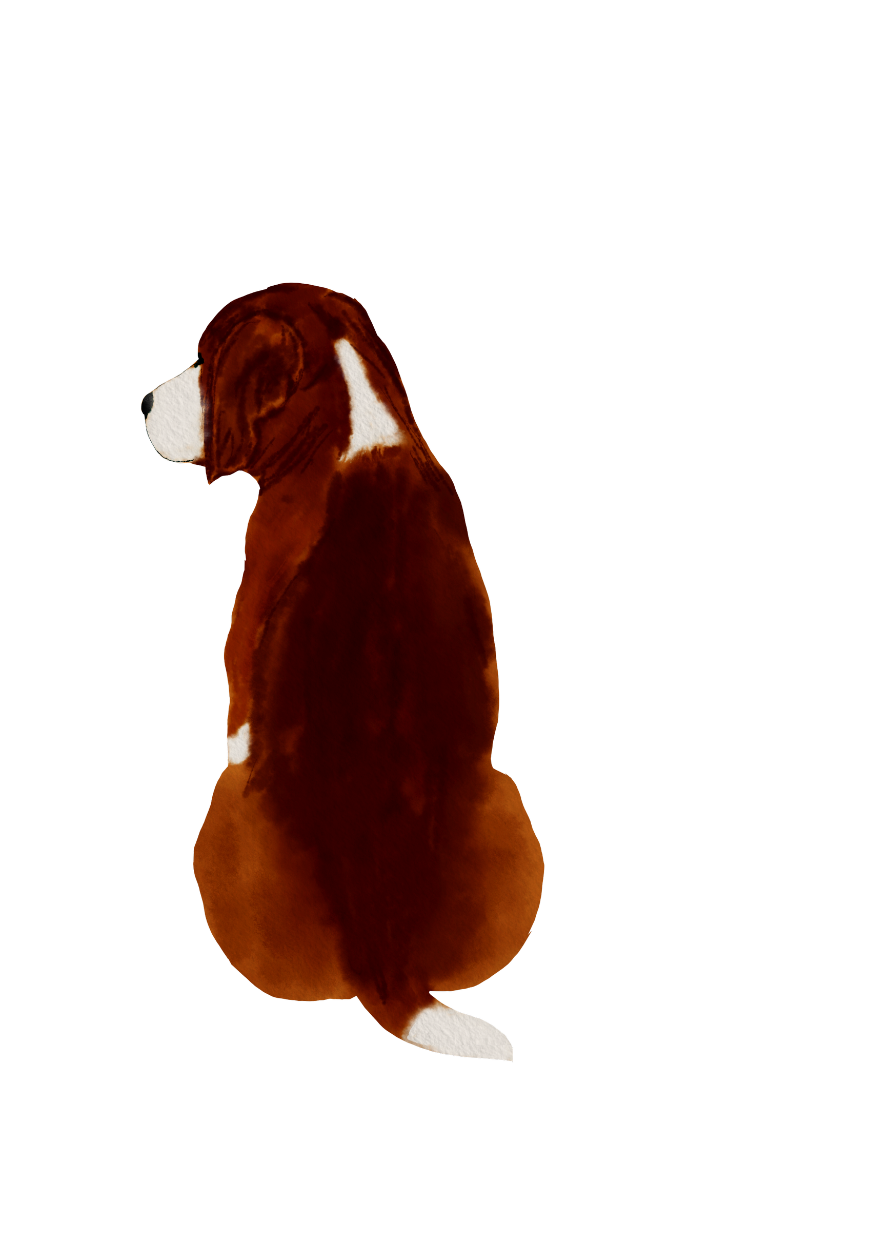 DogsVolI023